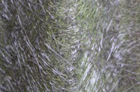 Milners Heath fibreglass roof work